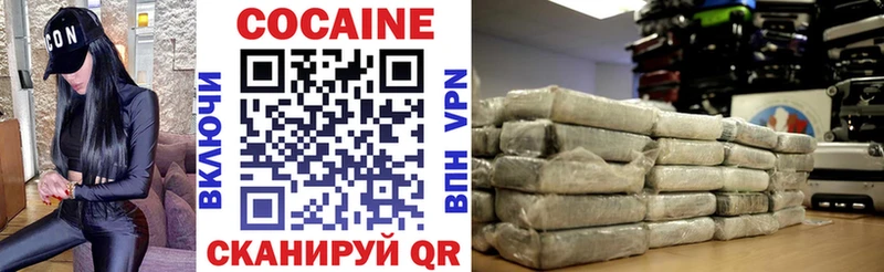 дарнет шоп  Устюжна  COCAIN FishScale 