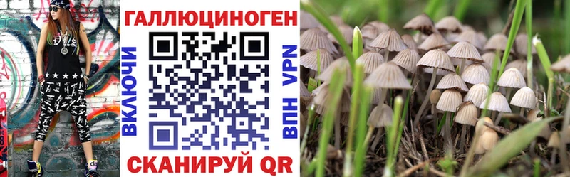 Галлюциногенные грибы Psilocybe  даркнет Telegram  Устюжна 